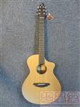 Breedlove Passport C250/CME ָ