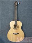 Washburn WG10S ҥ