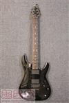 Schecter Damien Elite-FR 缪